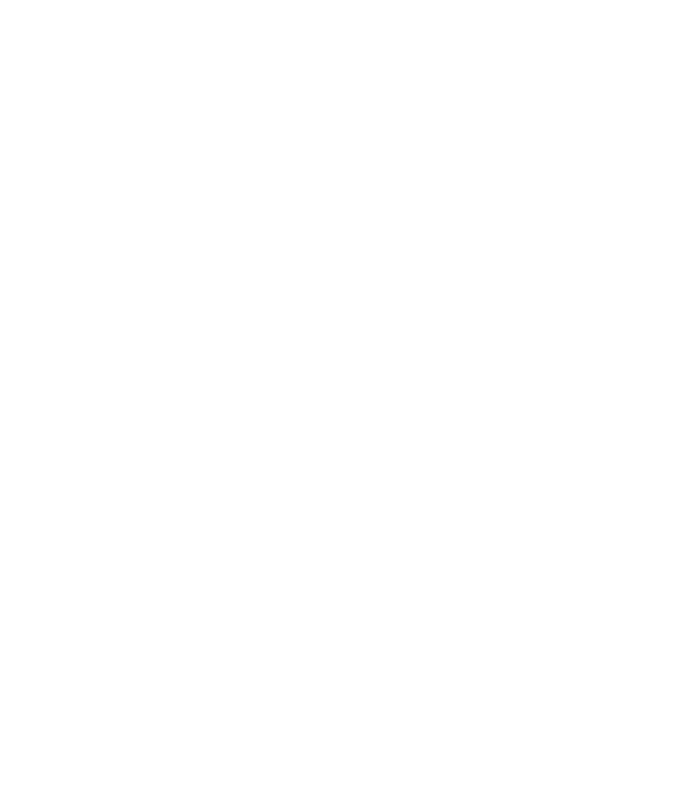 One Weddings Planner